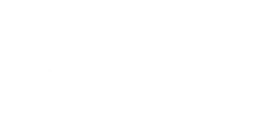 Texas-Instruments